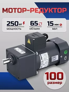 Мотор-редуктор 100YS250WGY38/22H/100GF20H 250 Вт 65 об/мин 220/380 В
