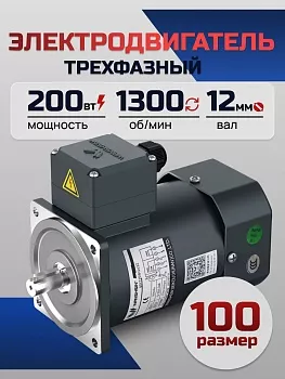 Электродвигатель трёхфазный 100YS200WDY38/22H 200 Вт 1300 об/мин 380/220 В