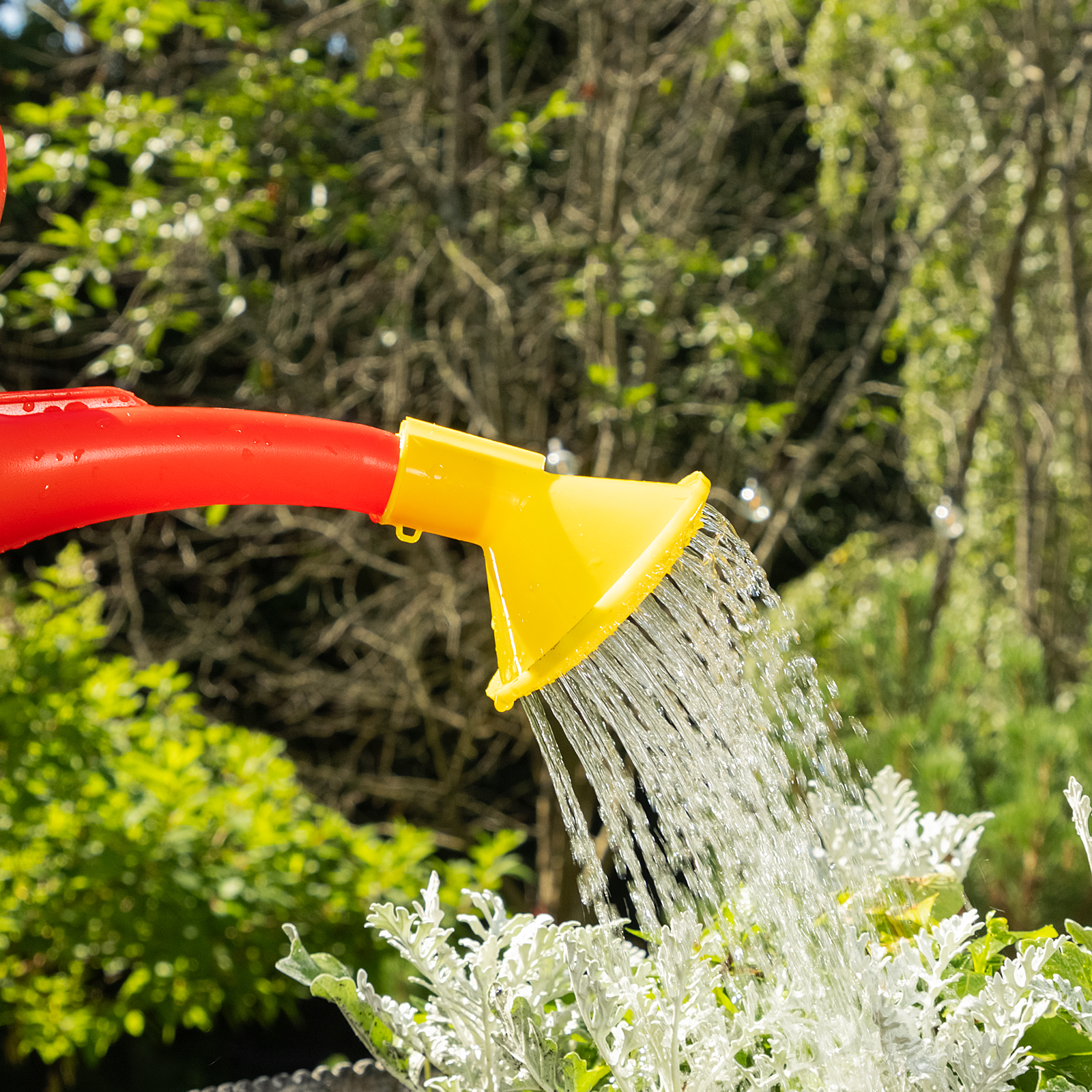 Лейка садовая, 5 л, пластмассовая СИБРТЕХ