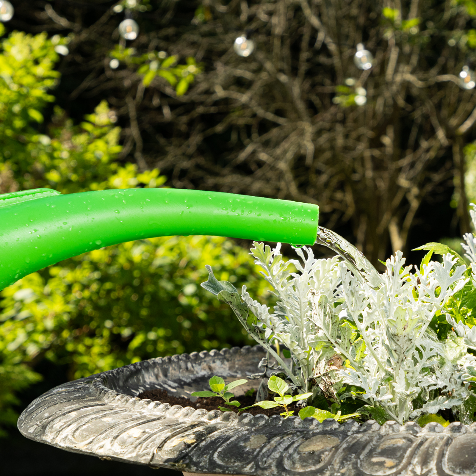 Лейка садовая, 10 л, пластмассовая СИБРТЕХ