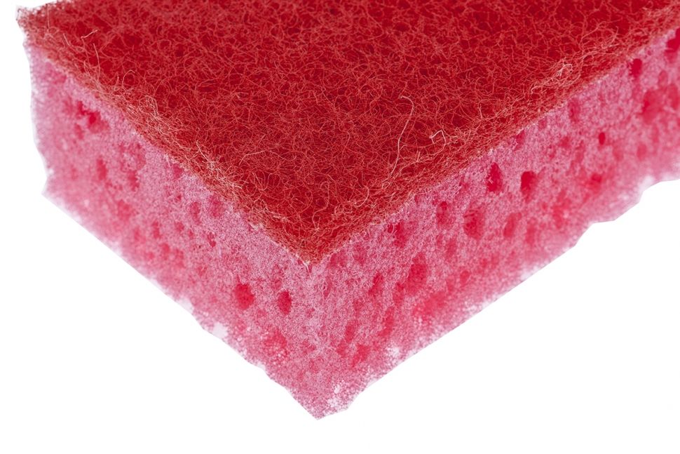 Губки для посуды Coral, 95 х 64 х 36 мм, 4 шт, Россия Elfe