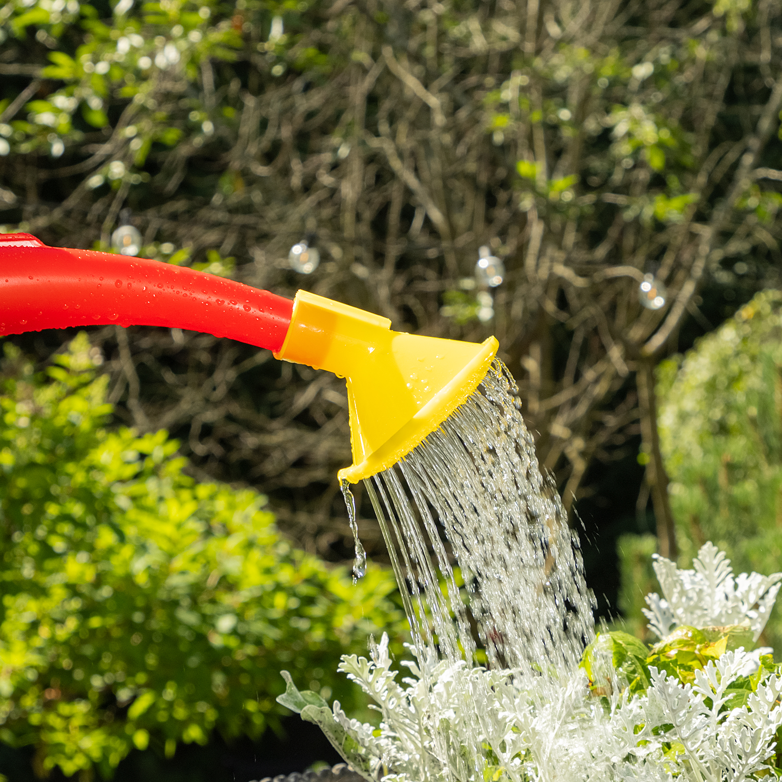 Лейка садовая, 8 л, пластмассовая СИБРТЕХ