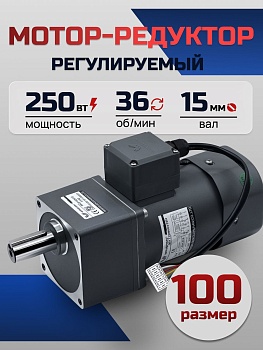 Регулируемый мотор-редуктор 100YT250WGV22H/100GF36H 250 Вт 36 об/мин 220 В