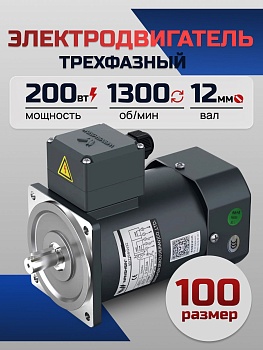 Электродвигатель трёхфазный 100YS200WDY38/22H 200 Вт 1300 об/мин 380/220 В